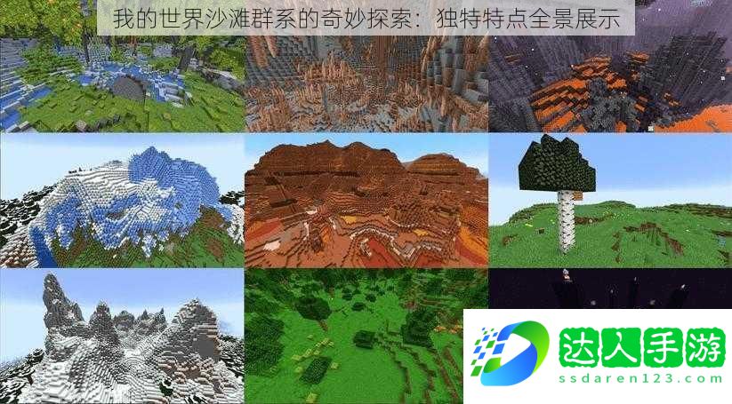 我的世界沙滩群系的奇妙探索