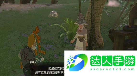 王国之泪烦恼的萝莱尔任务怎么做