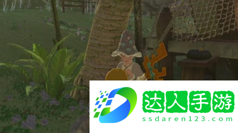 王国之泪烦恼的萝莱尔任务怎么做-迷你挑战烦恼的萝莱尔攻略