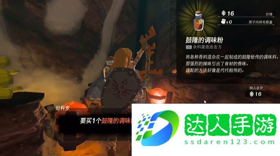 王国之泪烦恼的萝莱尔任务怎么做
