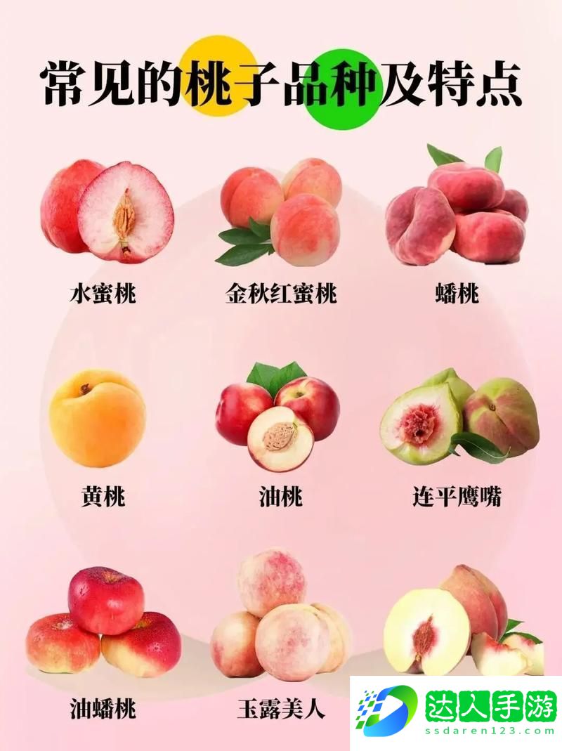 沁人心脾的水蜜桃2最经典的一句-激荡岁月的共鸣