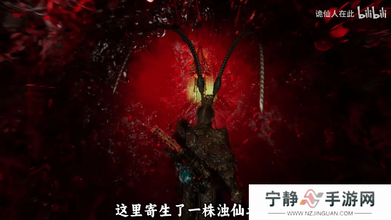 本站