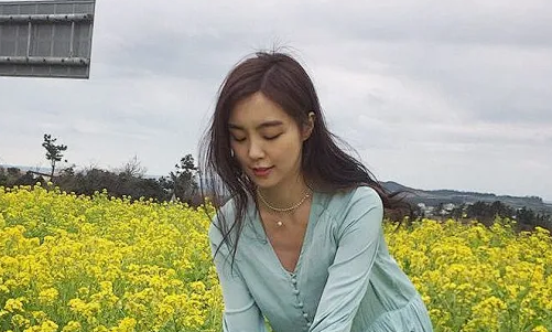 含苞待宠花婉柔镇国公：在权谋与柔情之间的抉择 