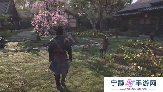 本站