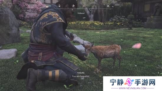 本站