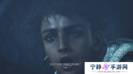 本站